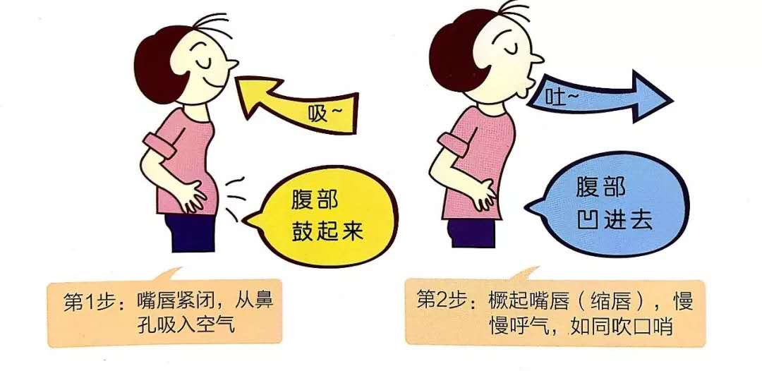 腹式呼吸动画演示图片