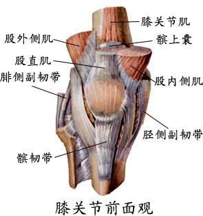 膝关节运动要讲技巧